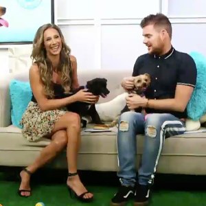 Help Find Forever Homes For These Two Lovable Rescue Dogs