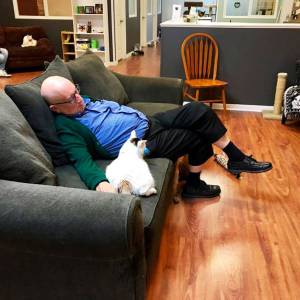 cat napper
