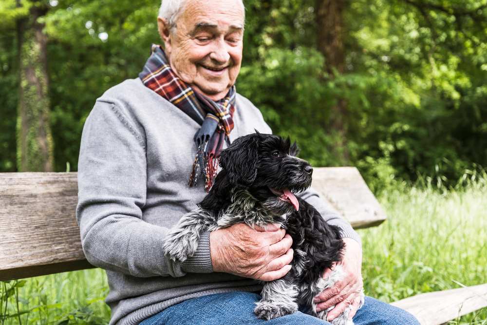 Meals On Wheels Pets Elderly Initiative