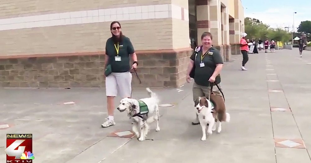 Therapy Dogs Hurricane Florence Evacuees