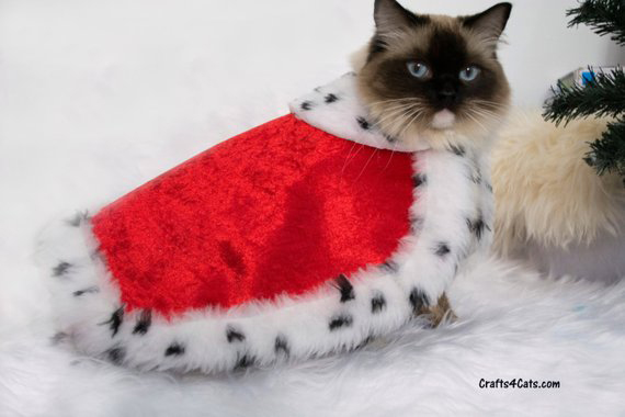 10 Must-Have Pet Halloween Costumes that Will Get All the Giggles