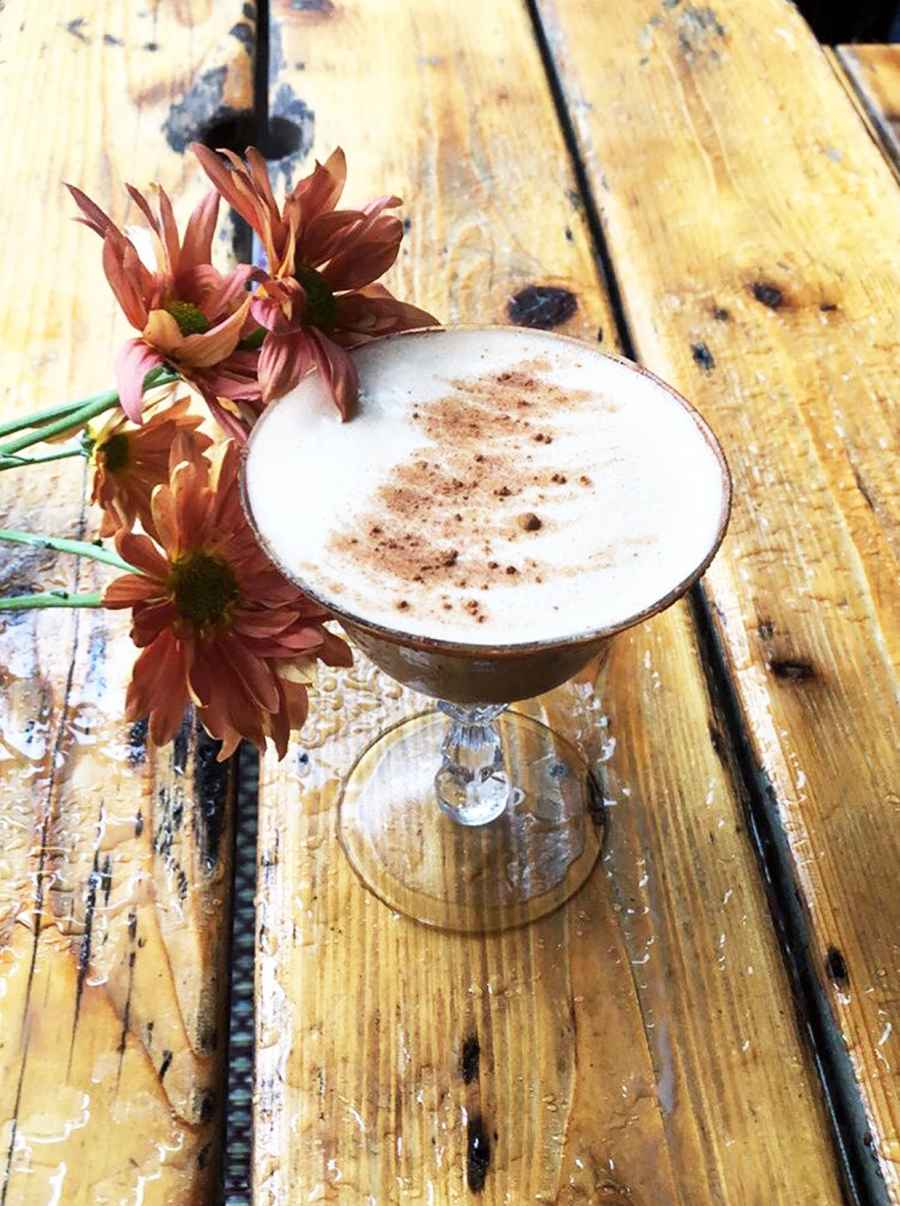 Melissa Joan Hart Halloween Recipes Basic Witch Vanilla Vodka Cocktail