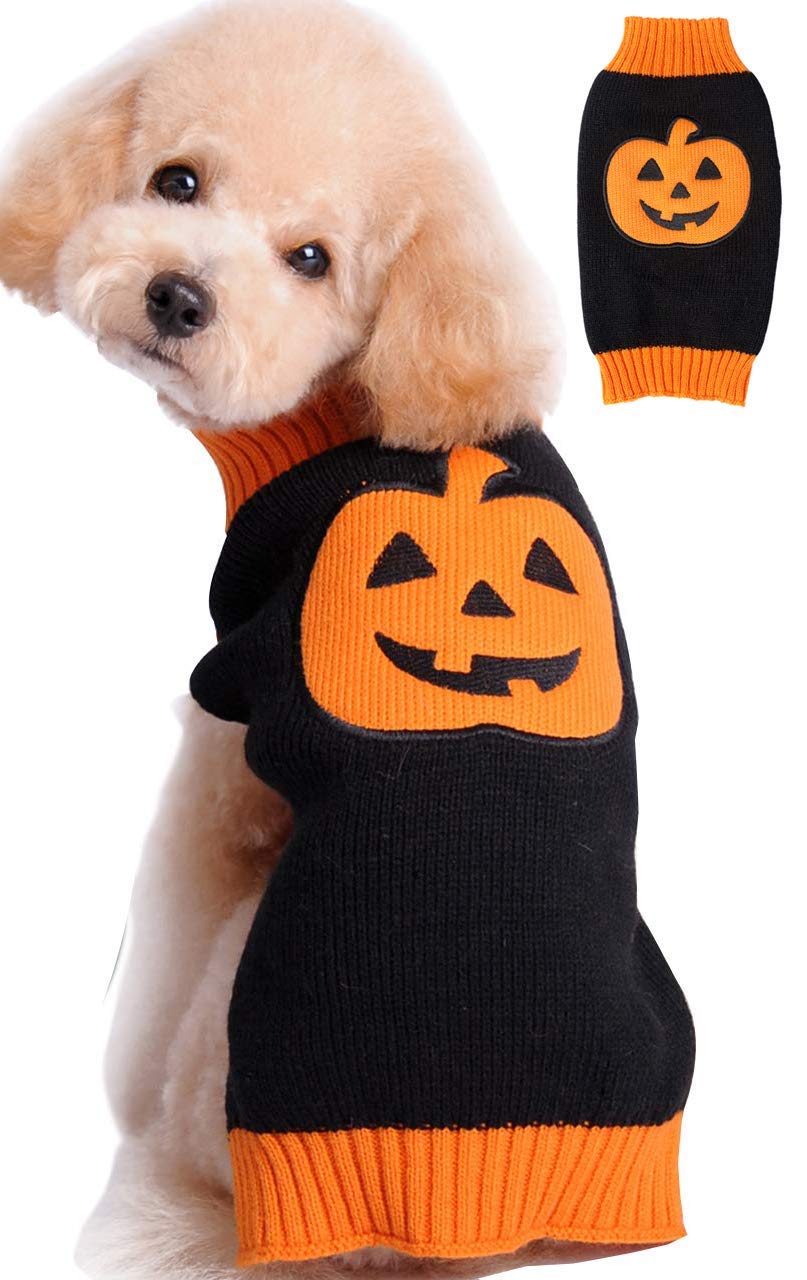 Pumpkin Cat Dog Sweater