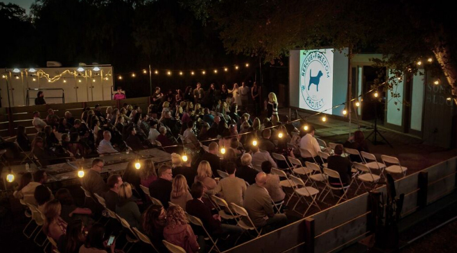 Rescue + Freedom Project