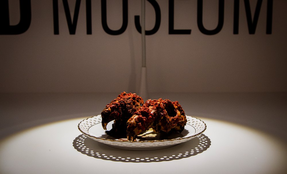 Sweden Disgusting Food Museum