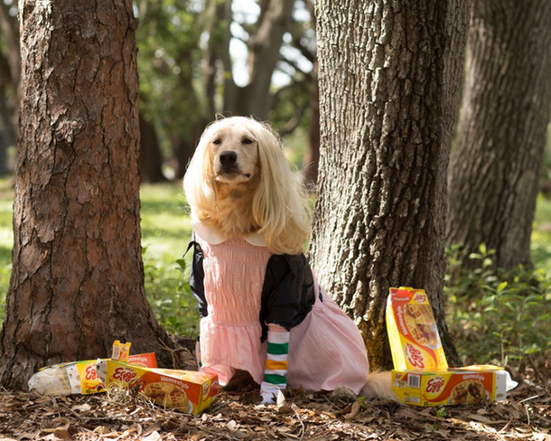 stranger things eleven dog costume