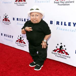 Verne Troyer
