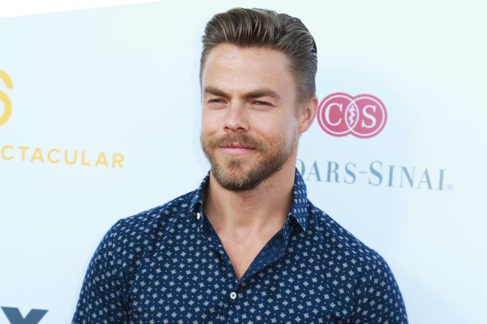Derek Hough's stray cat falling ill and then beating the odds