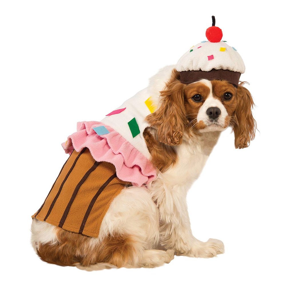 dog cupcake halloween costume