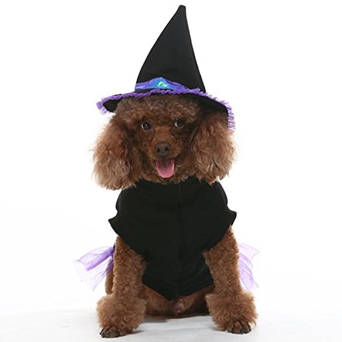 dog witch costume