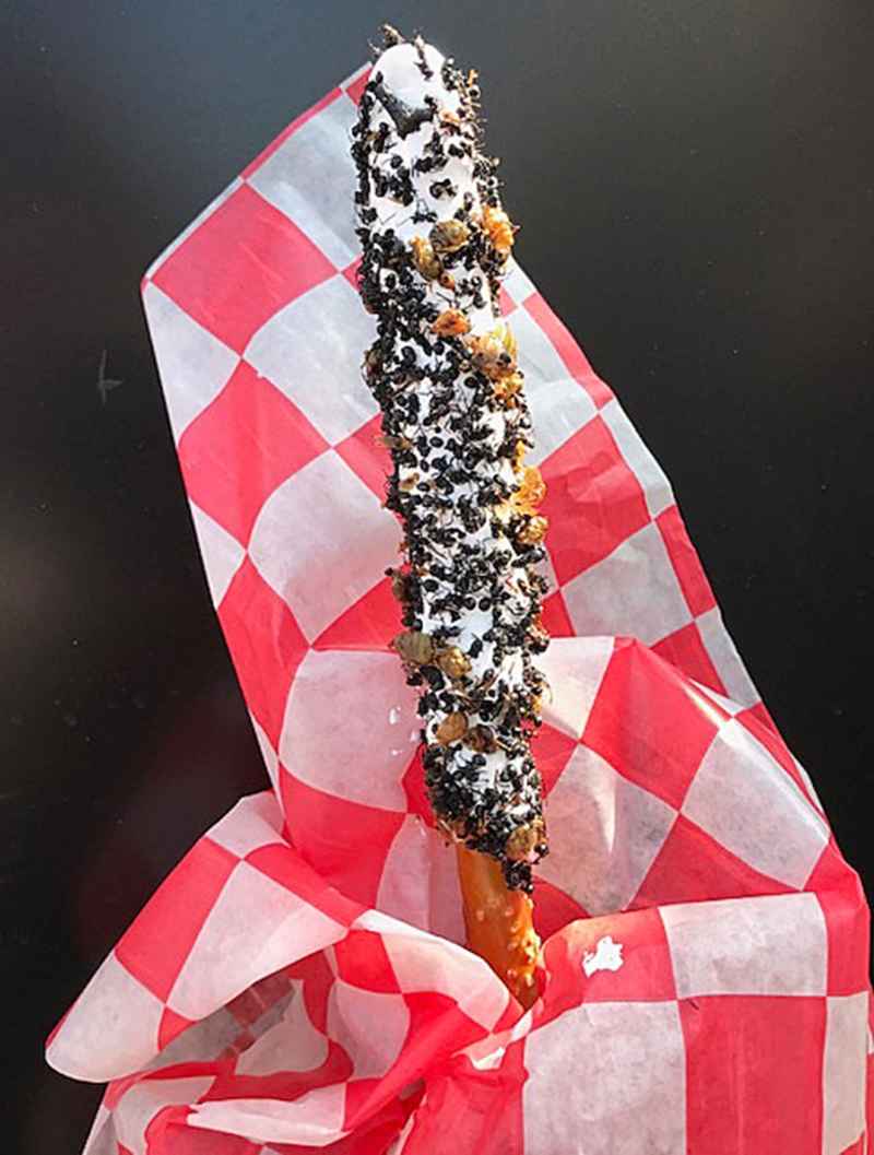 Food Stand in Wisconsin Serves Ants on a Stick With Real Bugs and Twitter Is Divided