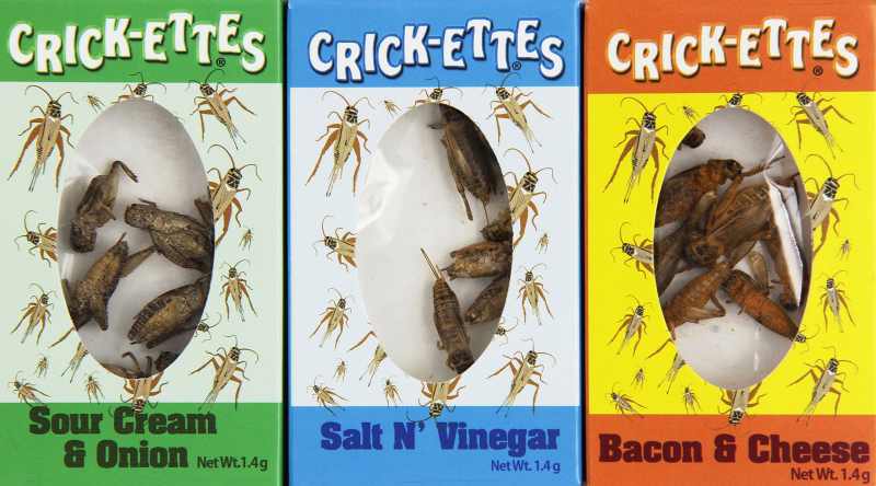 Crickettes