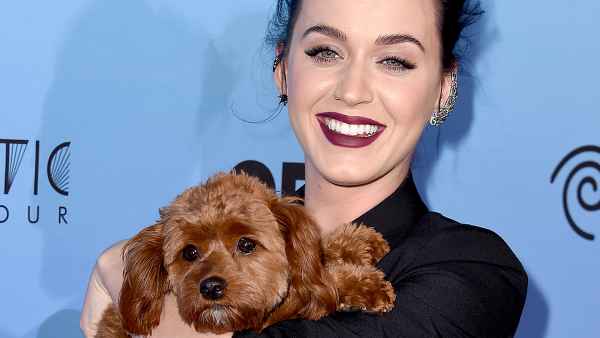 katy-perry-and-dog