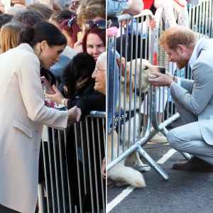 Meghan Markle and Prince Harry