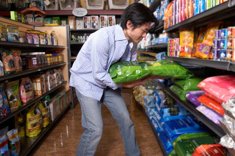 6 Ways You Can Prevent Pet Obesity