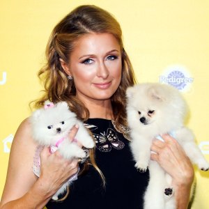 paris-hilton