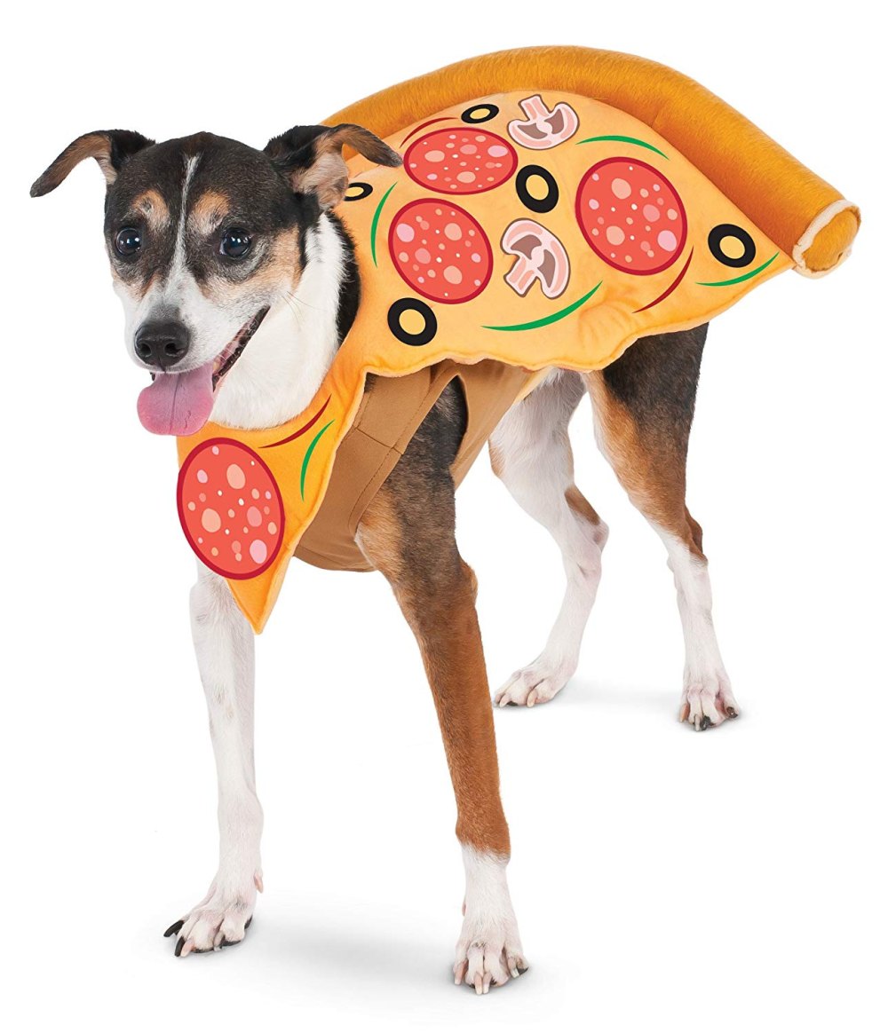 pizza dog halloween costume