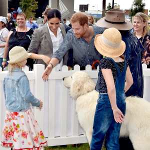 prince-harry-meghan-dog