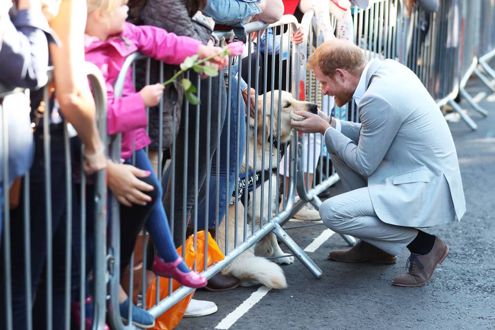 prince harry