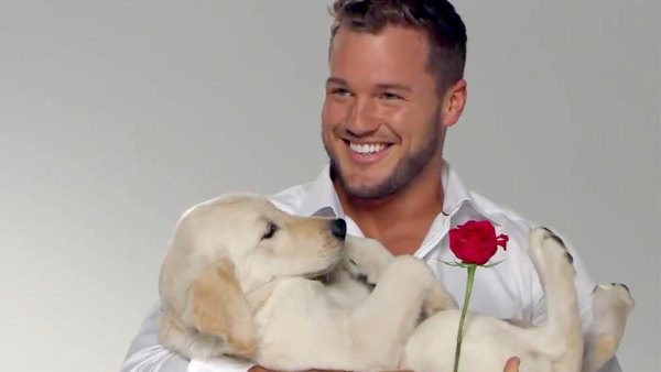 Colton-Underwood-Bachelor-art