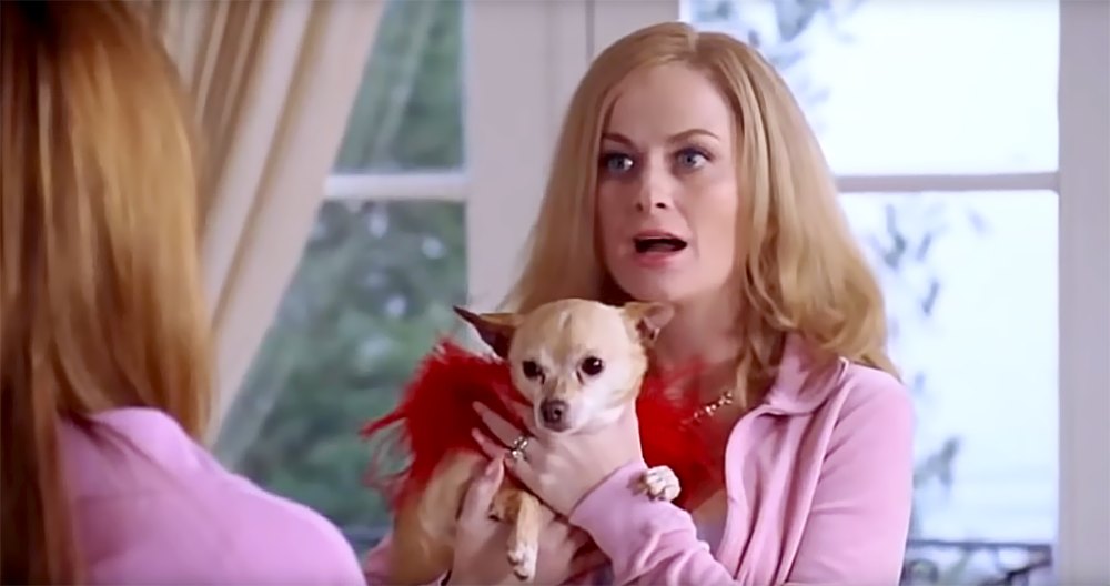 Amy Poehler in Mean Girls