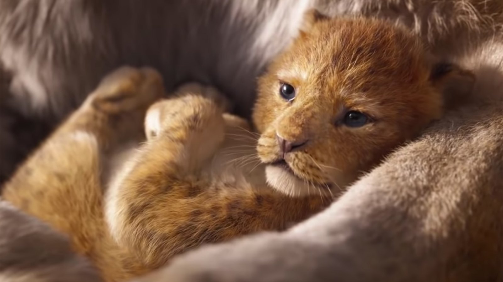 'The Lion King' Live-Action Movie's First Trailer Is Gorgeous and Goosebump-Inducing