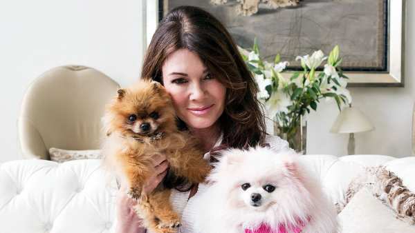 Lisa Vanderpump Gift Late Dogs