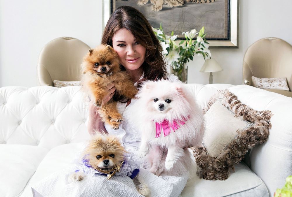 Lisa Vanderpump Gift Late Dogs