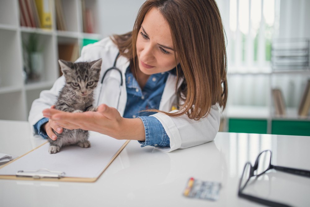 Diabetes in Pets