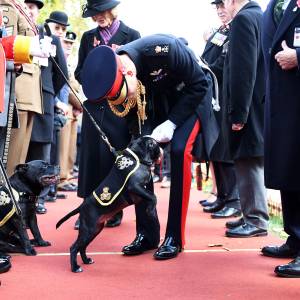 Prince Harry