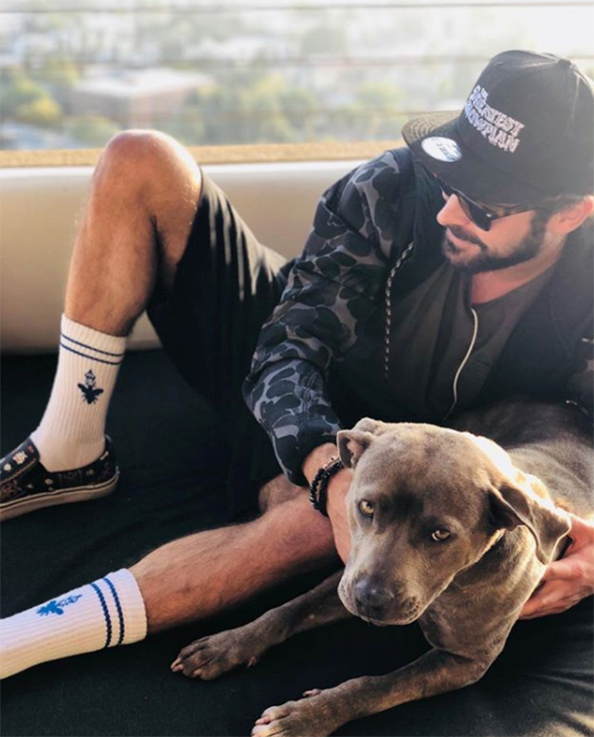 Celebs and their pets in 2018, Gallery