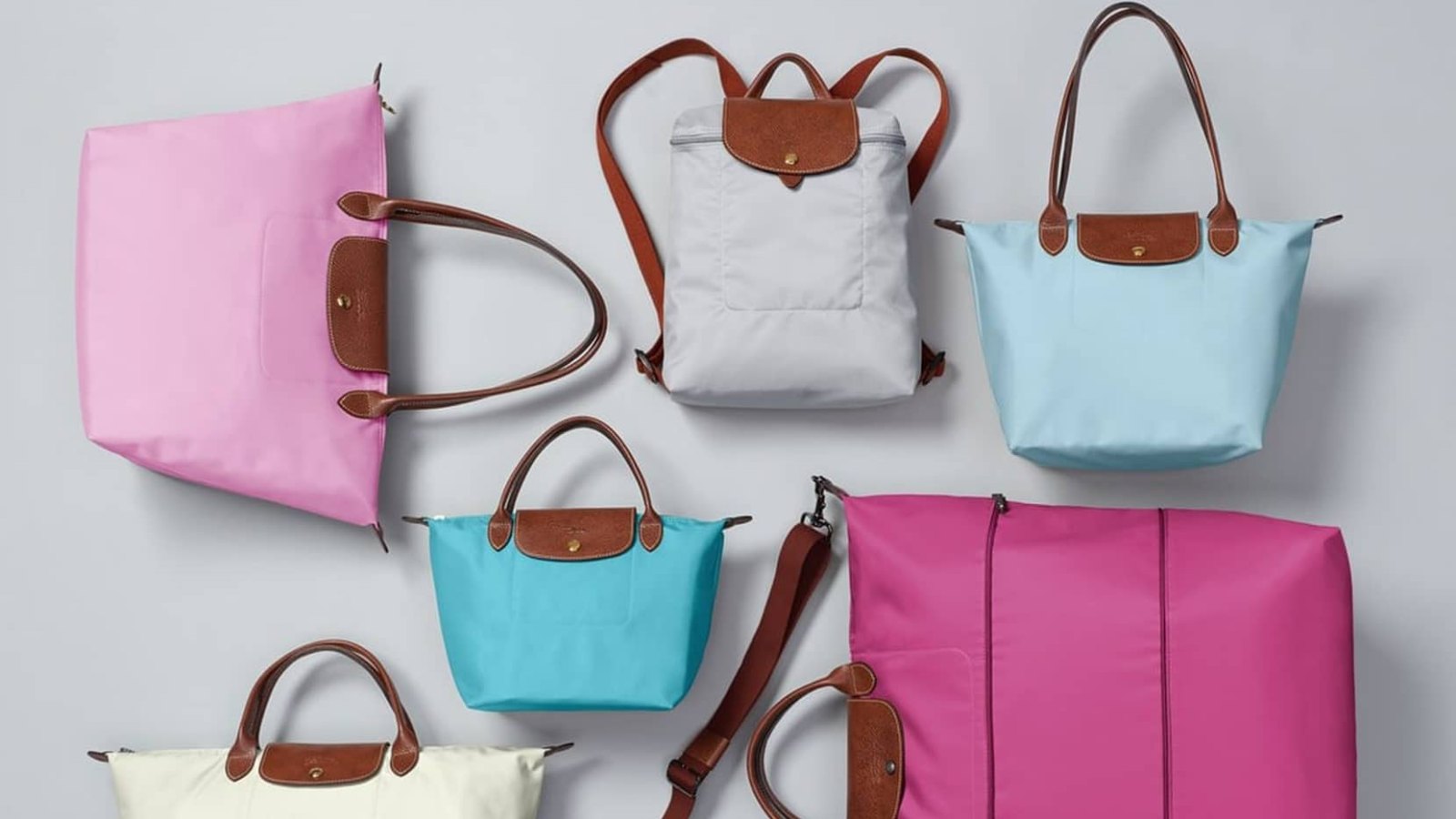 Pre-Loved Longchamp Bag Pouch handle with original strap, Color