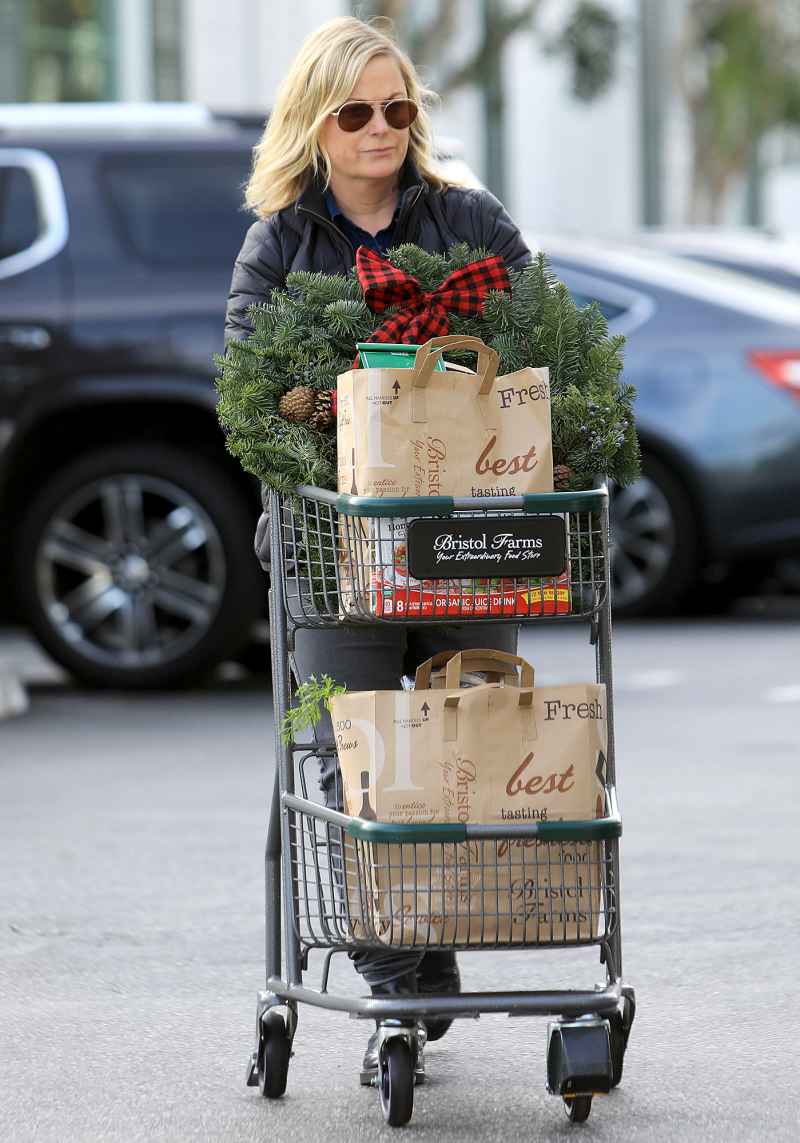 Amy-Poehler christmas shopping