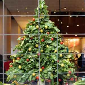 Chipotle Celebrates Holidays With Festive Window Display Built From Real Ingredients