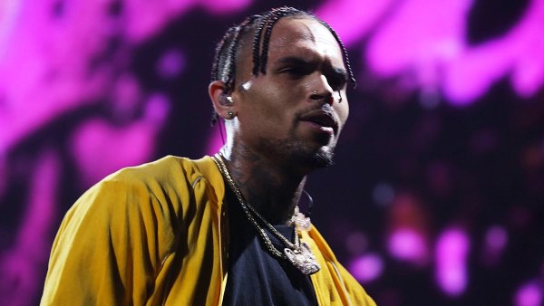 Chris Brown Is Facing Charges for Keeping a Pet Monkey Without a Permit