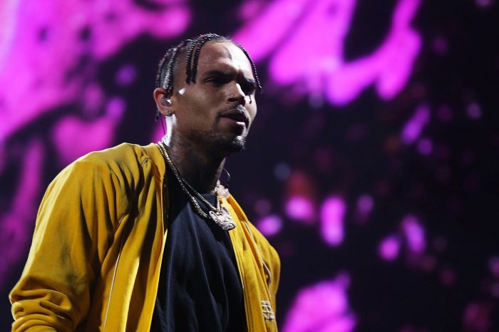 Chris Brown Is Facing Charges for Keeping a Pet Monkey Without a Permit