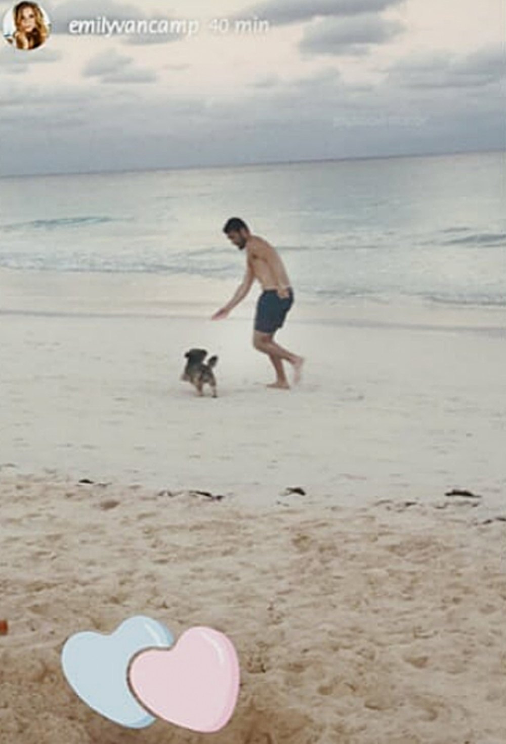 Emily VanCamp Shares Picture From Topical Honeymoon After Marrying Josh Bowman: &lsquo;Never Leaving&rsquo;