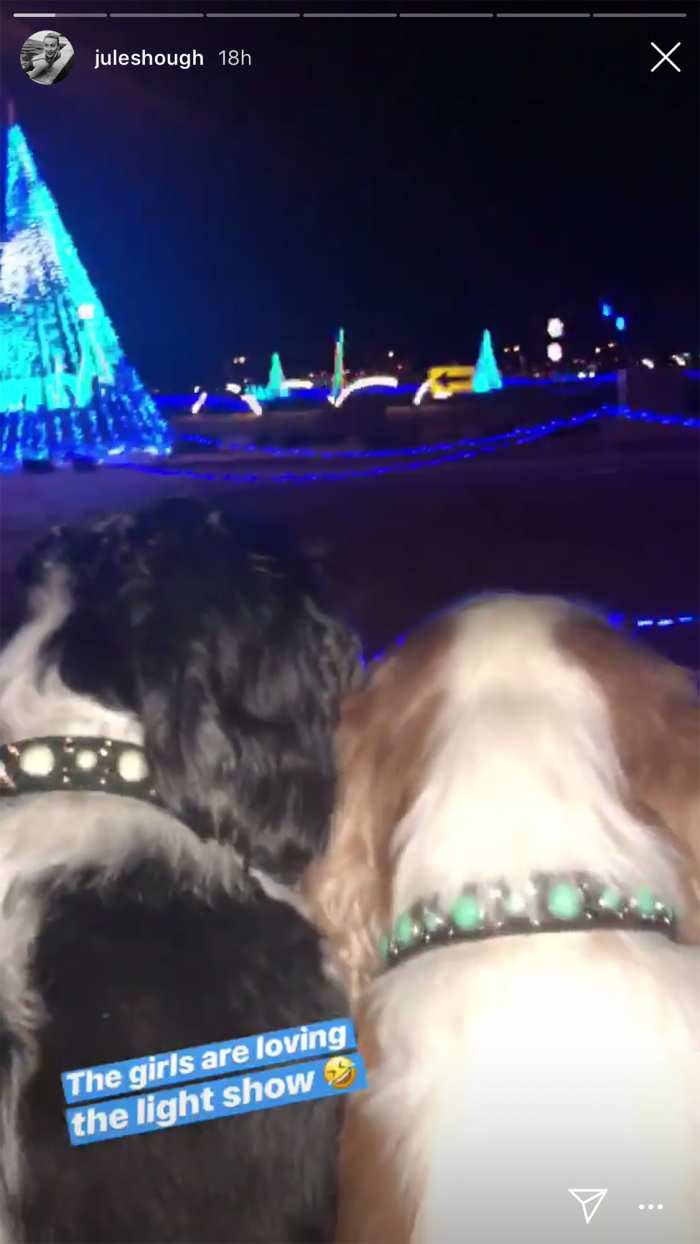 Julianne Hough's Dogs Love Holiday Lights Even More Than Us
