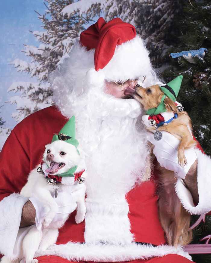 Pet-to-Pose-with-Santa