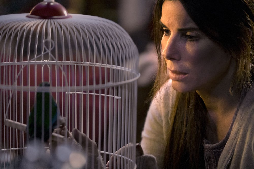 Sandra Bullock Defended by Fans Who Say She's More Than 'That Lady From Bird Box'