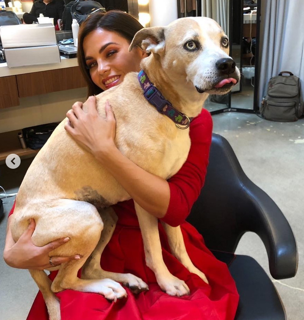 Jenna Dewan and her late dog Lulu
