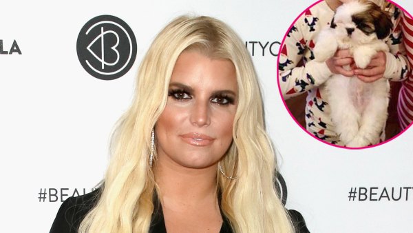Jessica Simpson's Kids Maxwell and Ace Got Matching Puppies for Christmas