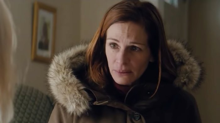 'Ben Is Back' Review: Julia Roberts Shines in a "Stirring" Family Drama