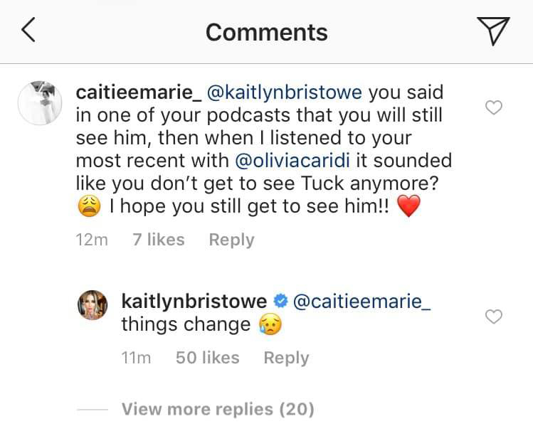 kaitlyn-bristowe-dog-tucker-comments
