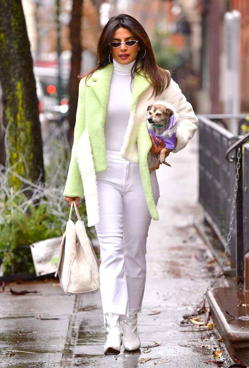 priyanka-chopra with dog and green jacket