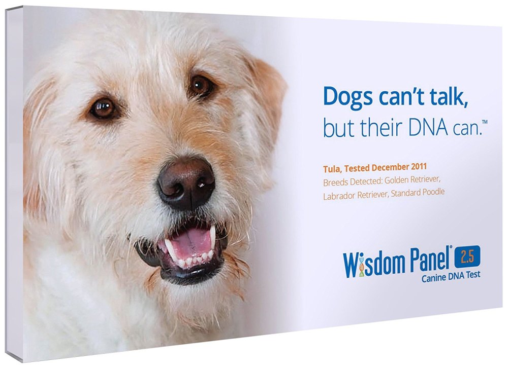Mars vet wisdom panel test
