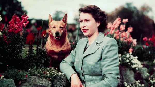 All About Queen Elizabeth II’s Love for Animals