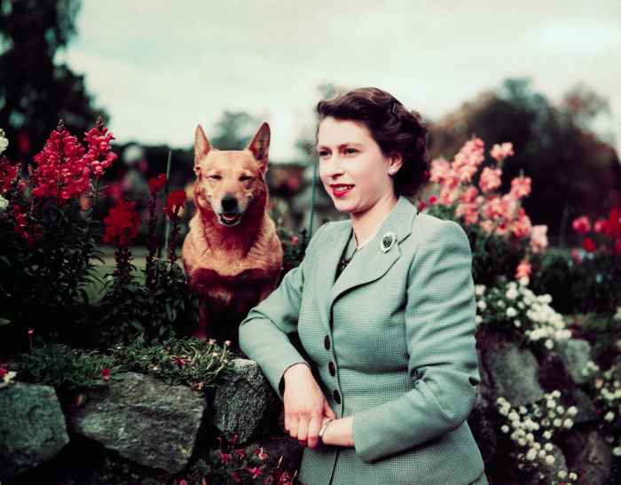 All About Queen Elizabeth II’s Love for Animals