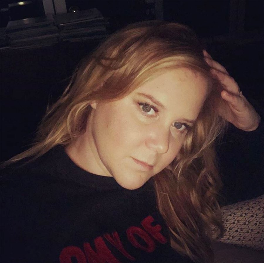 Amy Schumers Funniest Quotes About Pregnancy