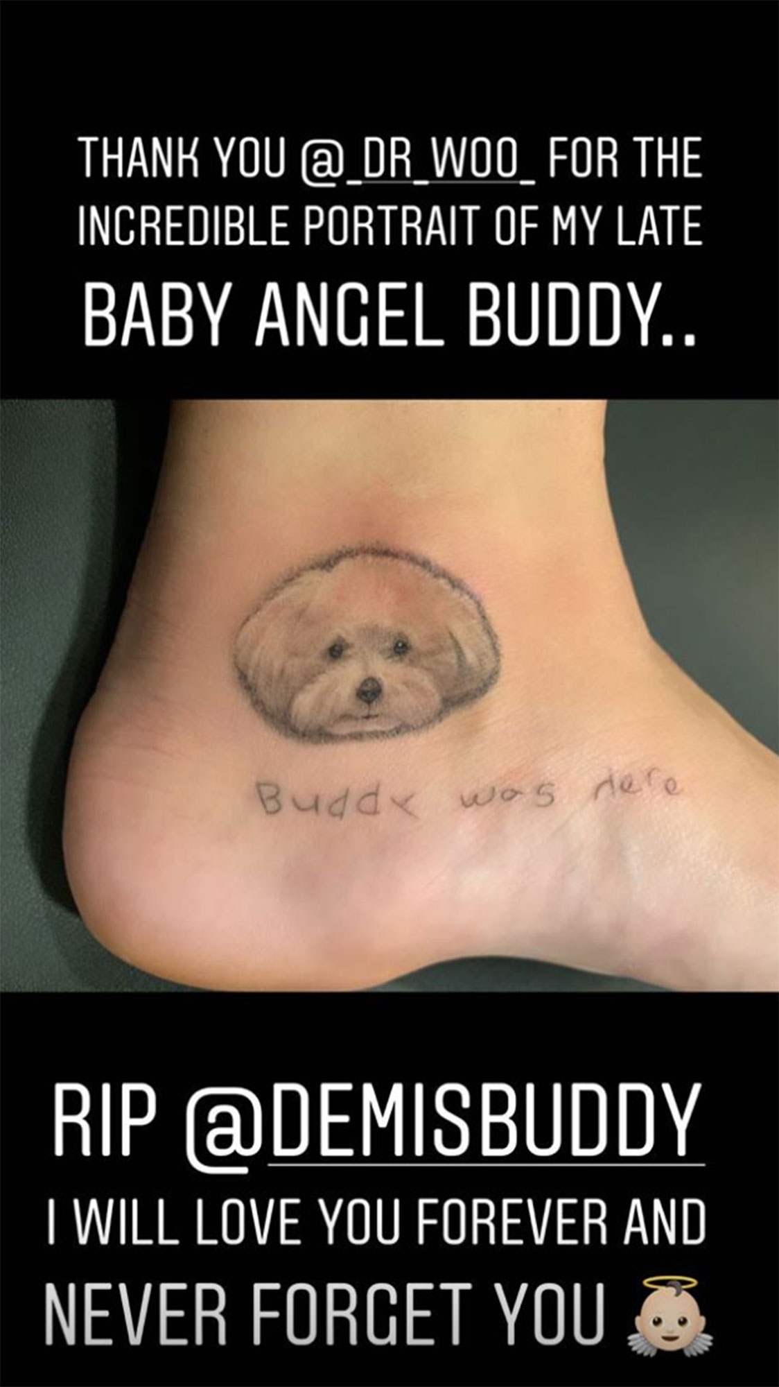 Demi Lovato's Latest Tattoo Commemorates Her Dog Plus Other Star's Ink